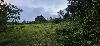 Farmlot for Sale in Minantok East, Amadeo, Cavite